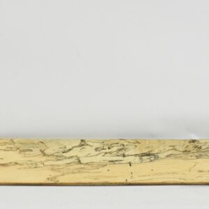 TAMSP1098_1