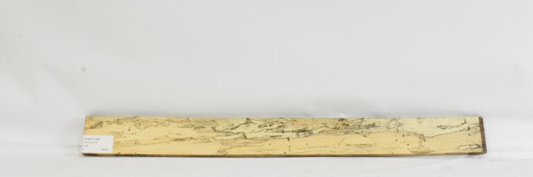 TAMSP1098_1