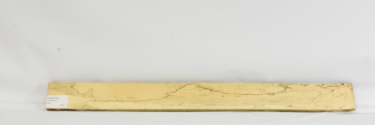 TAMSP1102_1