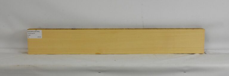 CEDARALAS1393_1