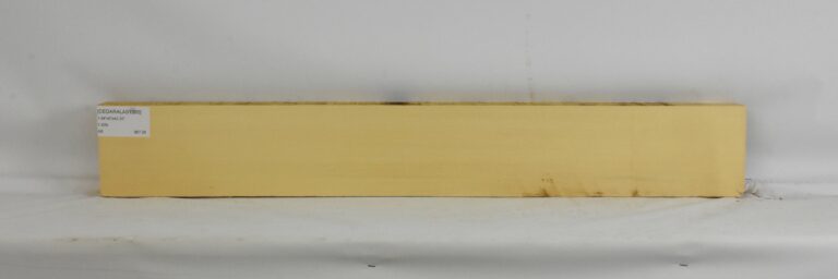CEDARALAS1395_1