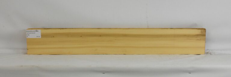 CEDARALAS1400_1