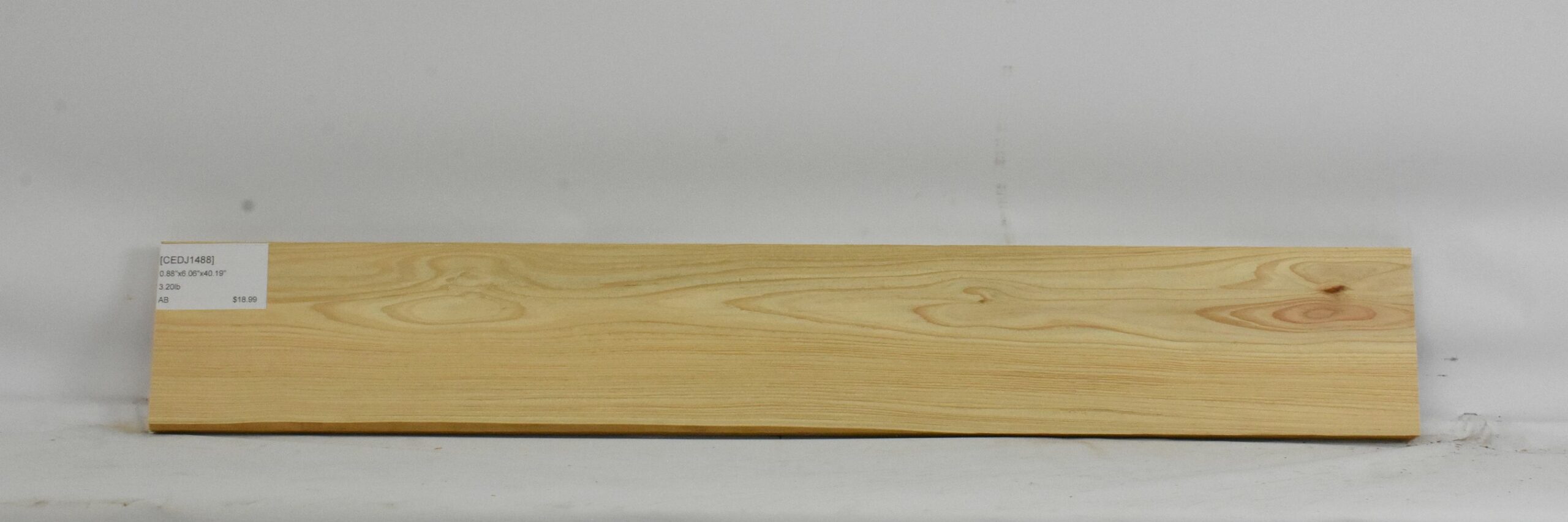 Cedar - Japanese 1 CEDJ1488_1