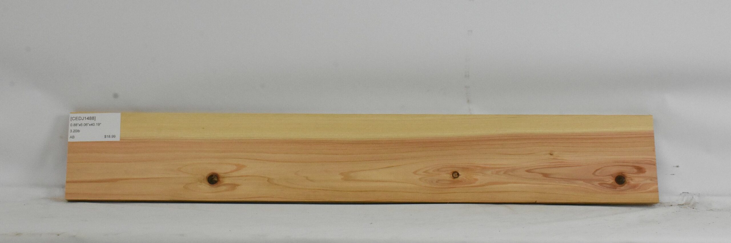 Cedar - Japanese 2 CEDJ1488_2