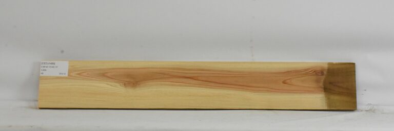 Cedar - Japanese 16 CEDJ1489_1