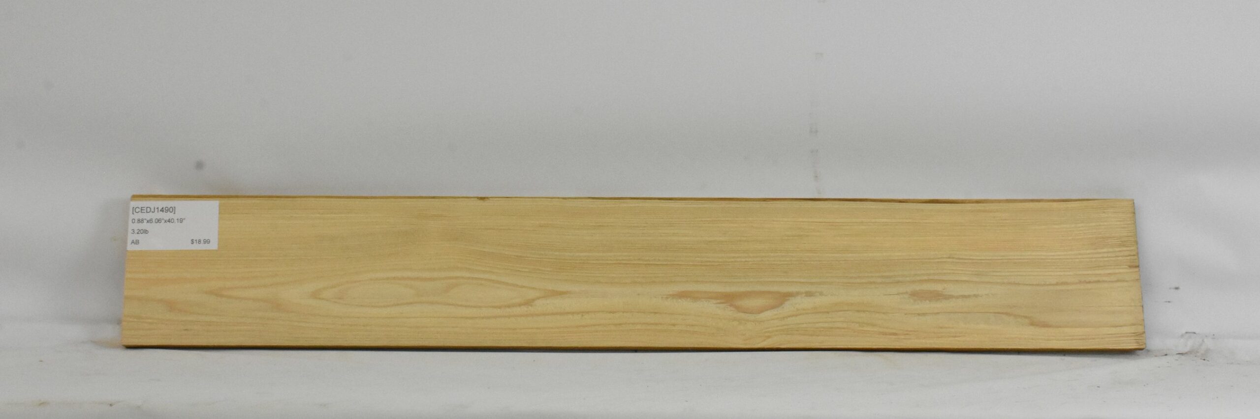 Cedar - Japanese 2 CEDJ1490_2