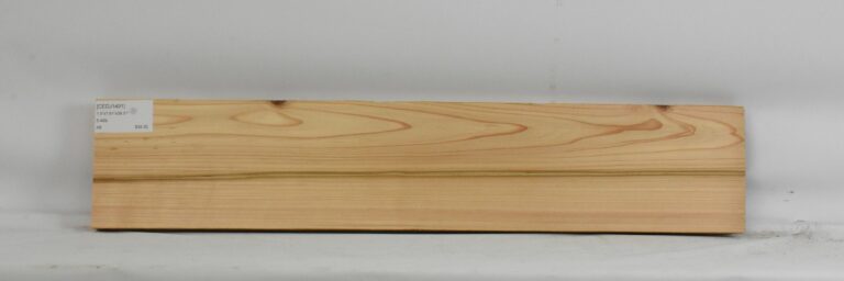 Cedar - Japanese 14 CEDJ1491_1