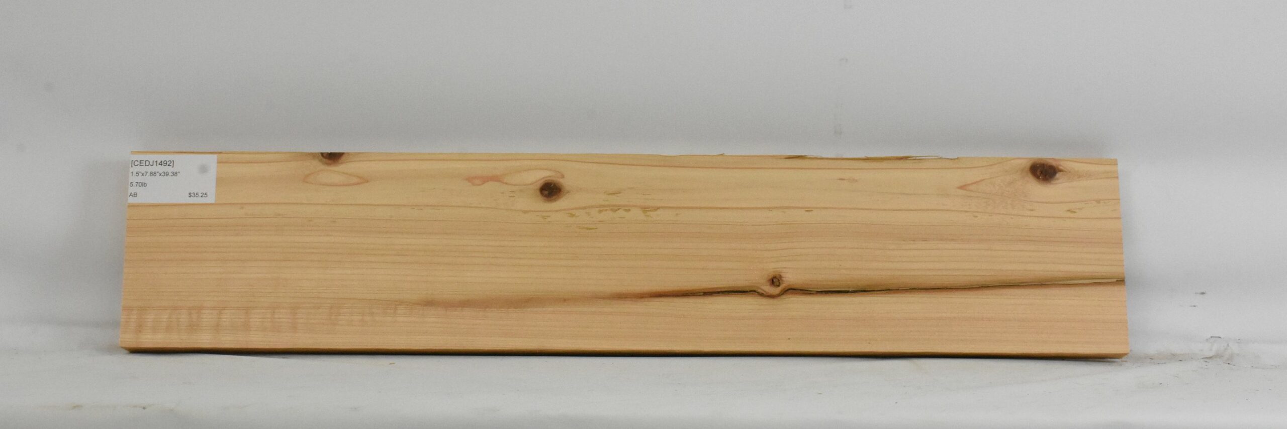 Cedar - Japanese 1 CEDJ1492_1