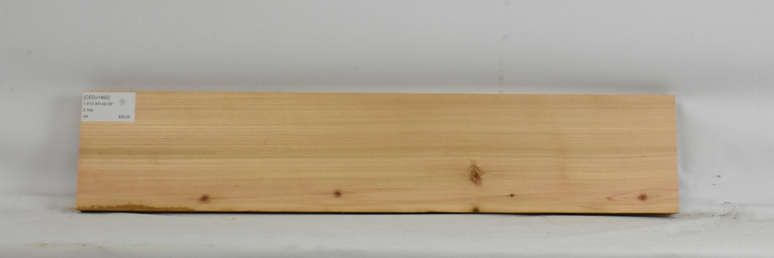 Cedar - Japanese 2 CEDJ1492_2