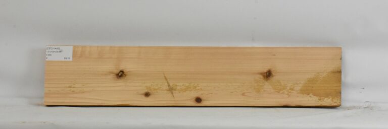 Cedar - Japanese 12 CEDJ1493_1