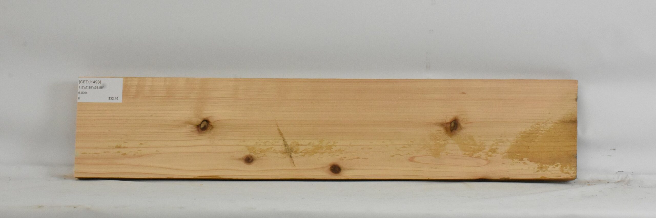 Cedar - Japanese 1 CEDJ1493_1