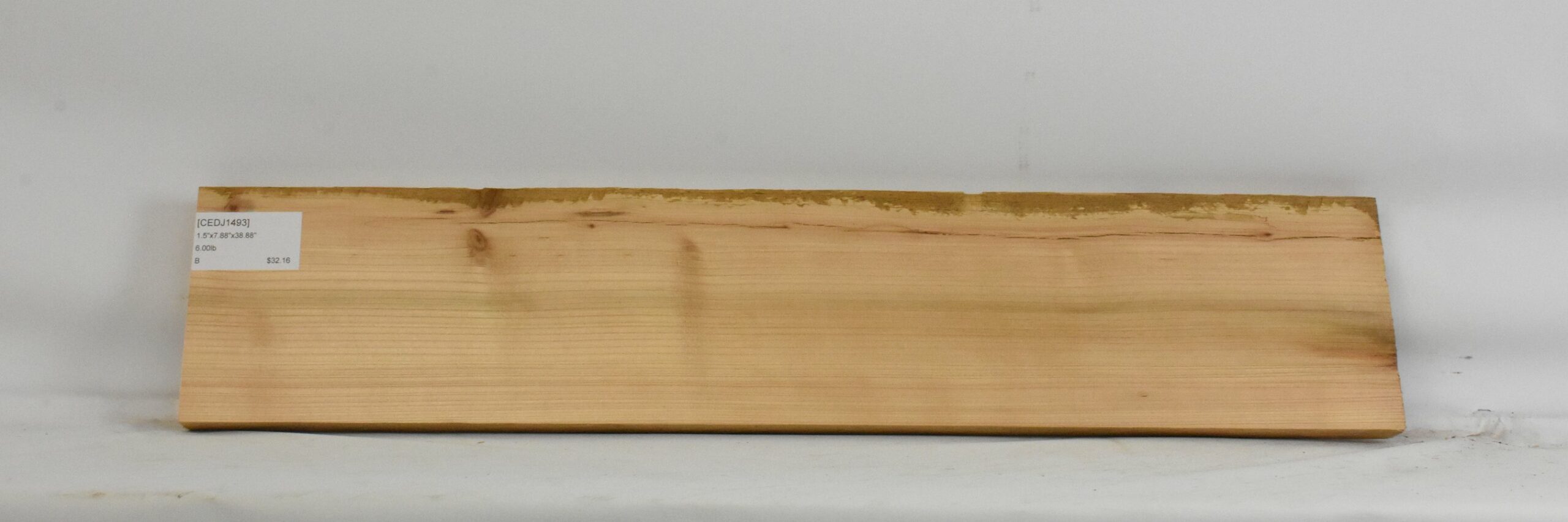 Cedar - Japanese 2 CEDJ1493_2