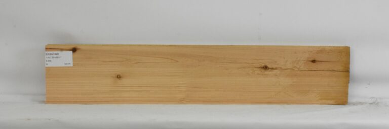 Cedar - Japanese 9 CEDJ1496_1