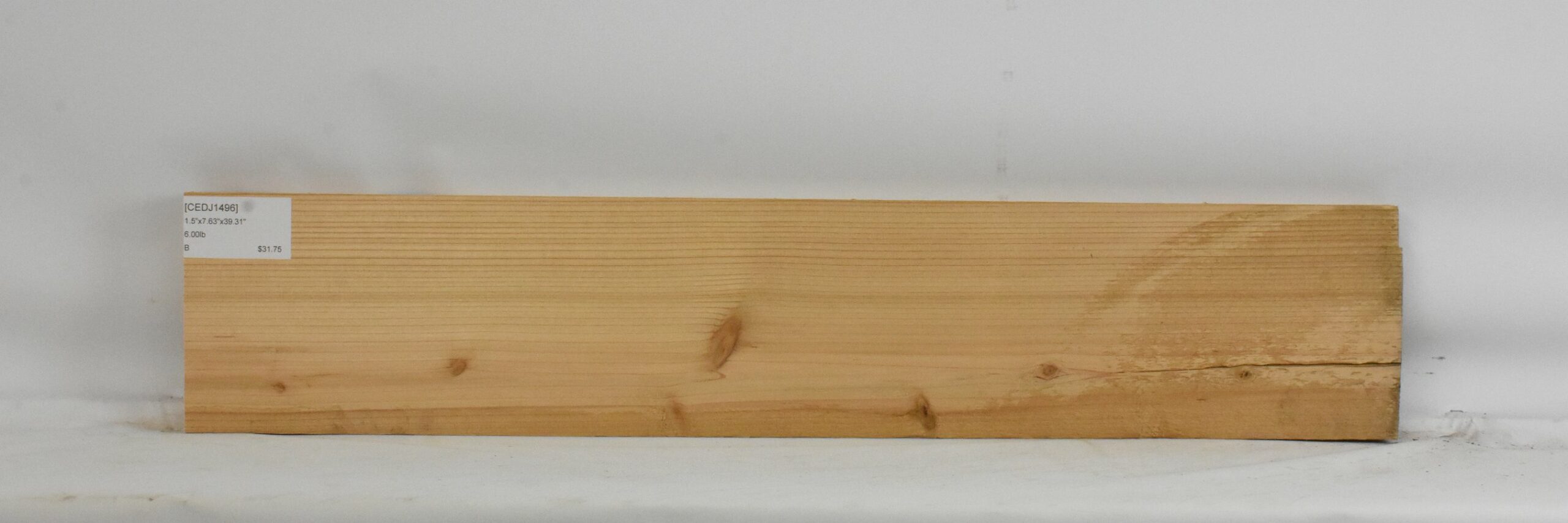 Cedar - Japanese 2 CEDJ1496_2