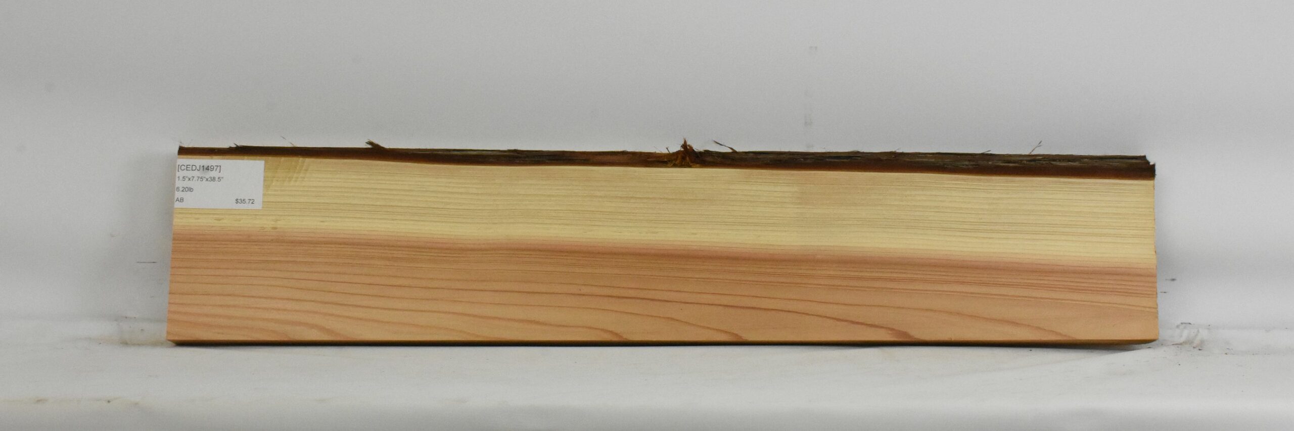 Cedar - Japanese 1 CEDJ1497_1