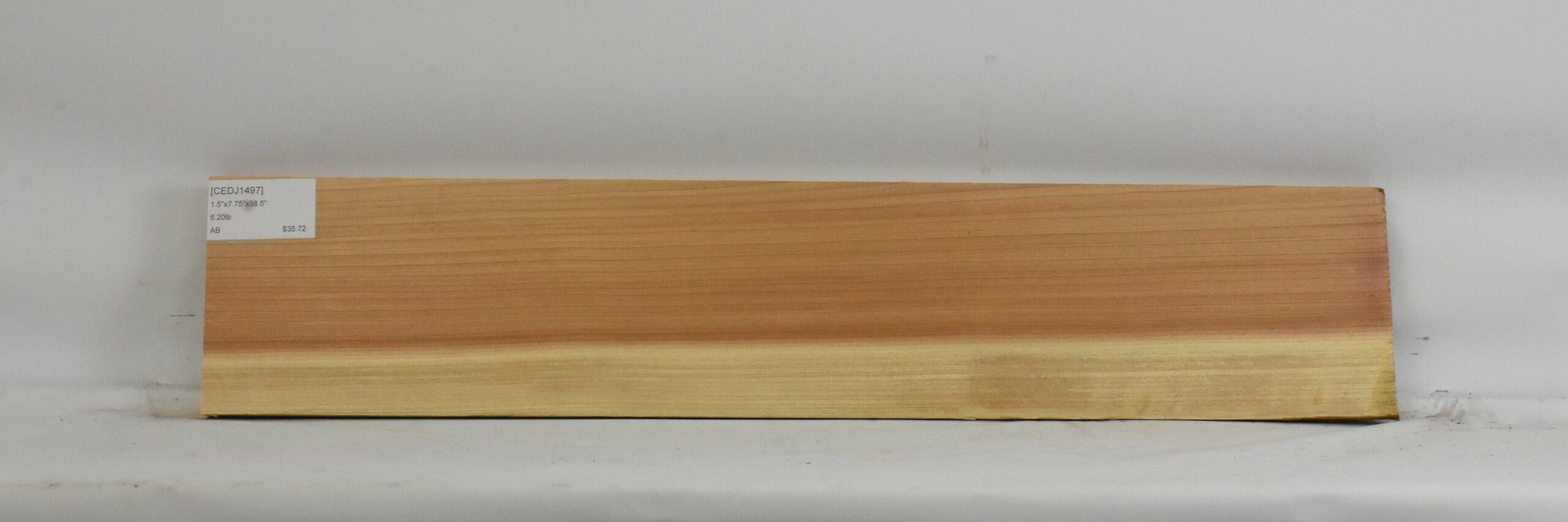 Cedar - Japanese 2 CEDJ1497_2