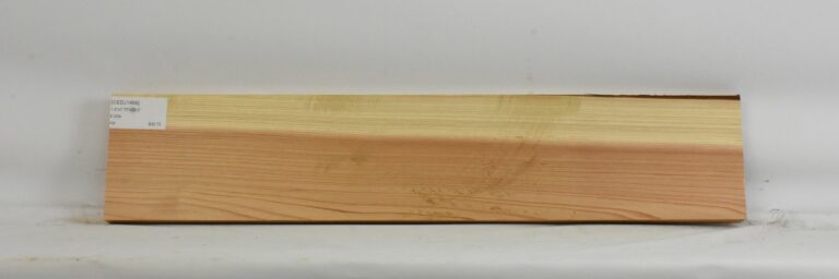 Cedar - Japanese 6 CEDJ1499_1