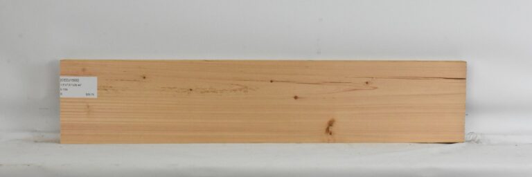 Cedar - Japanese 5 CEDJ1500_1
