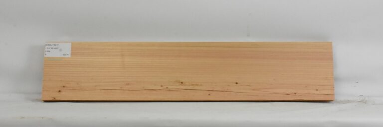Cedar - Japanese 4 CEDJ1501_1