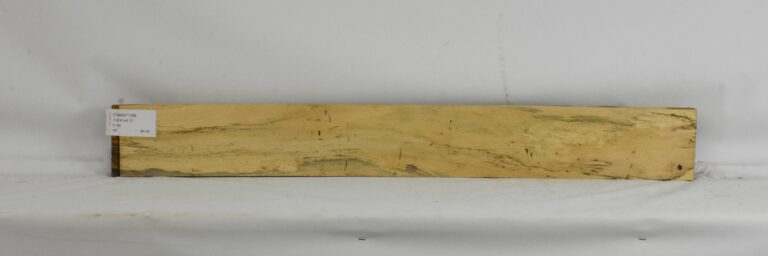 TAMSP1108_1