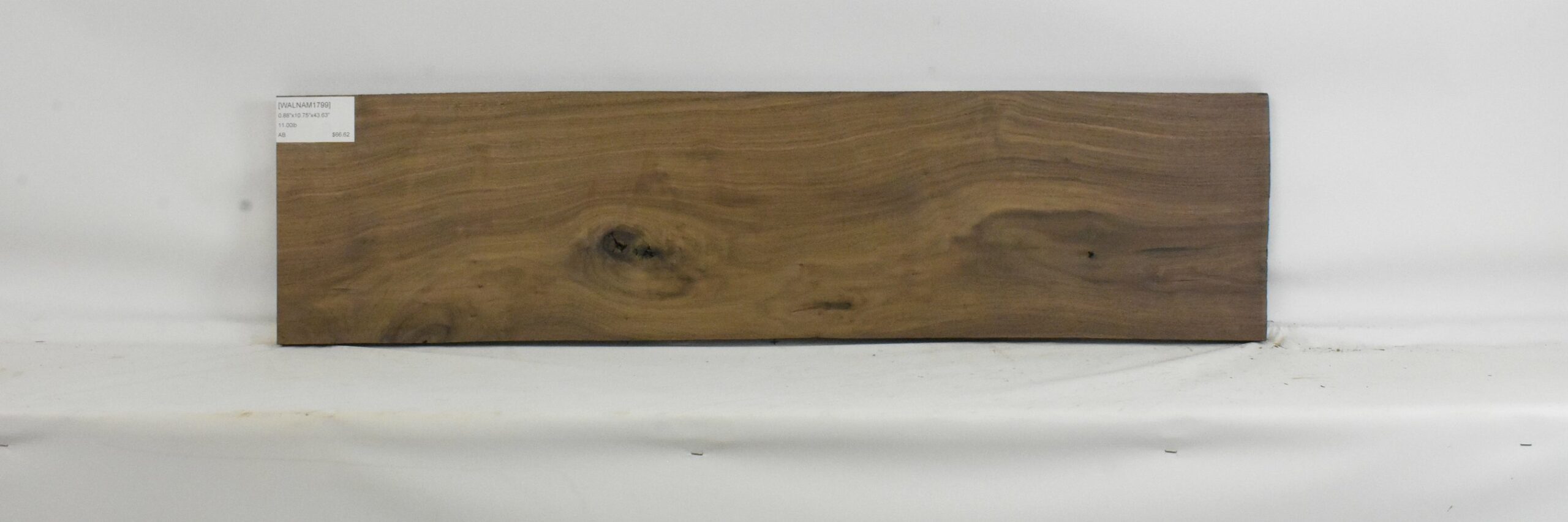 Walnut - American 2 WALNAM1799_2