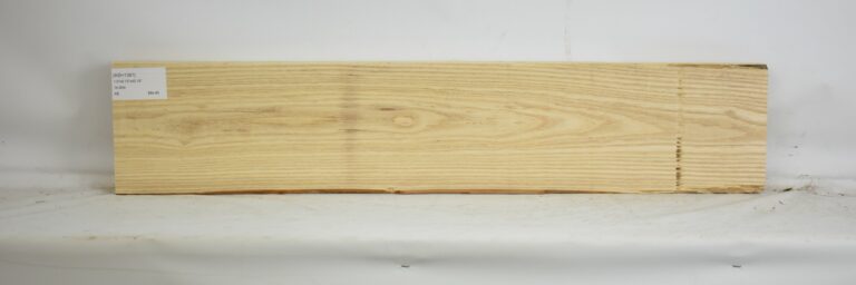 Ash - American 15 ASH1381_1