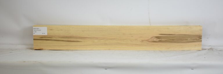 Ash - American 5 ASH1391_1