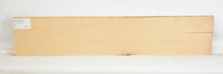 Beech - American 4 BEECHAM1141_1