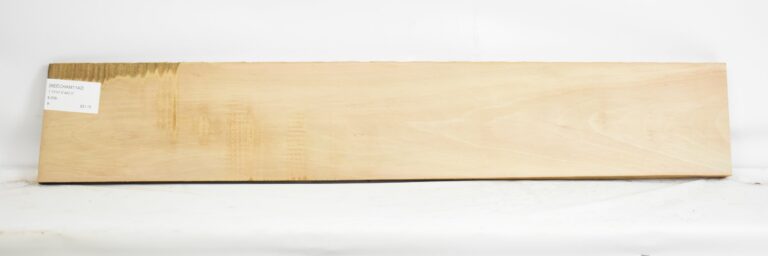 Beech - American 17 BEECHAM1142_1