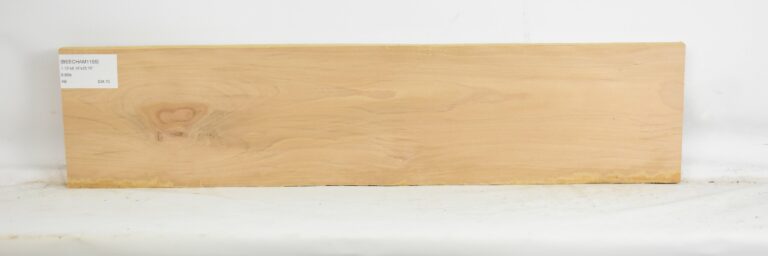Beech - American 2 BEECHAM1155_1