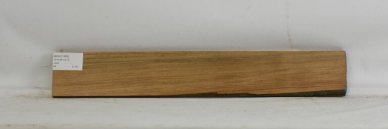Blackwood - Acacia 8 BWAC1459_1