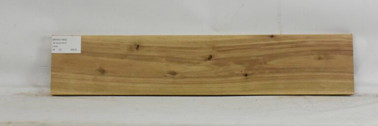 Blackwood - Acacia 7 BWAC1460_1