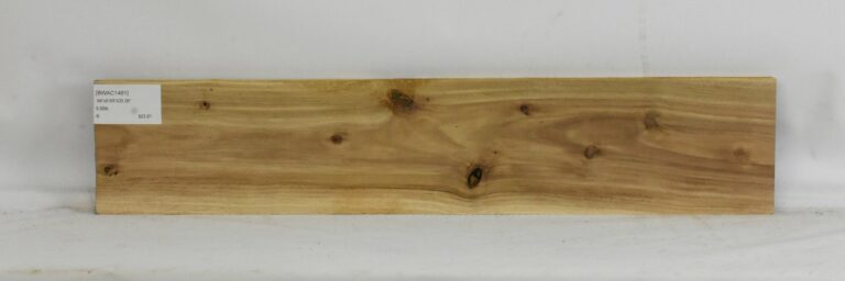 Blackwood - Acacia 6 BWAC1461_1