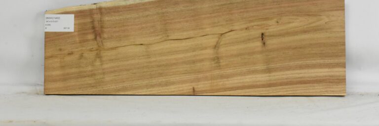 Blackwood - Acacia 5 BWAC1462_1