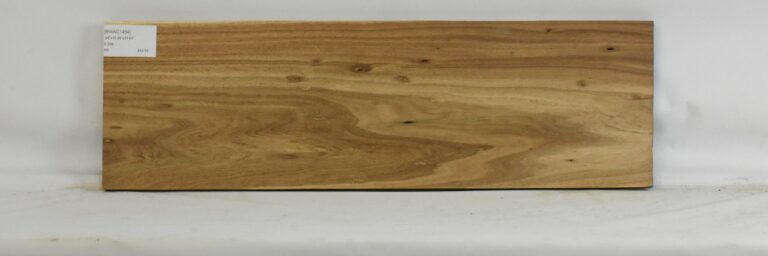 Blackwood - Acacia 17 BWAC1464_1