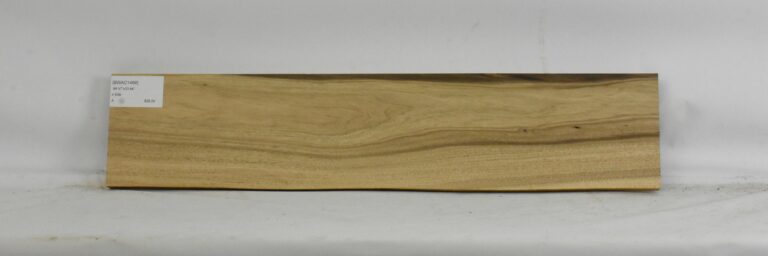 Blackwood - Acacia 15 BWAC1466_1