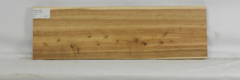 Blackwood - Acacia 13 BWAC1468_1