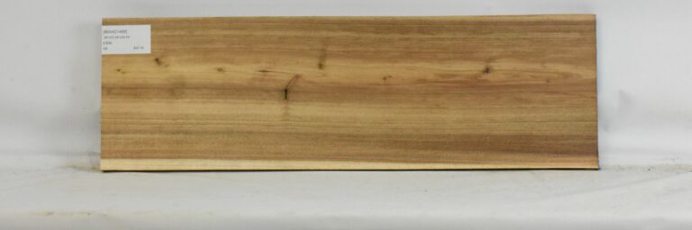 Blackwood - Acacia 12 BWAC1469_1