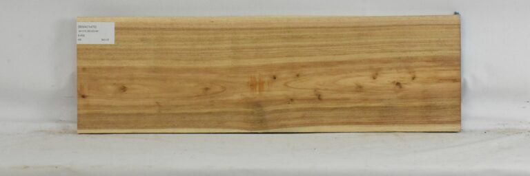 Blackwood - Acacia 11 BWAC1470_1
