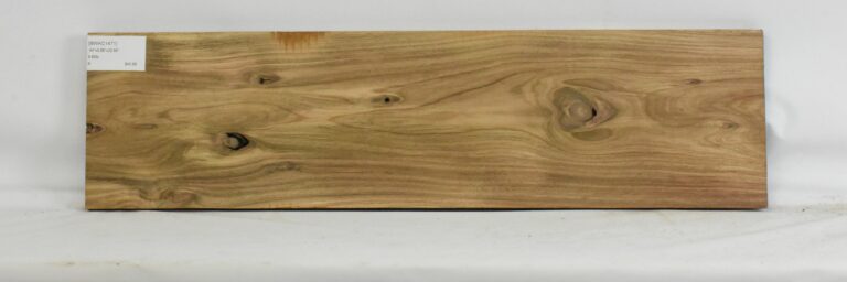 Blackwood - Acacia 10 BWAC1471_1