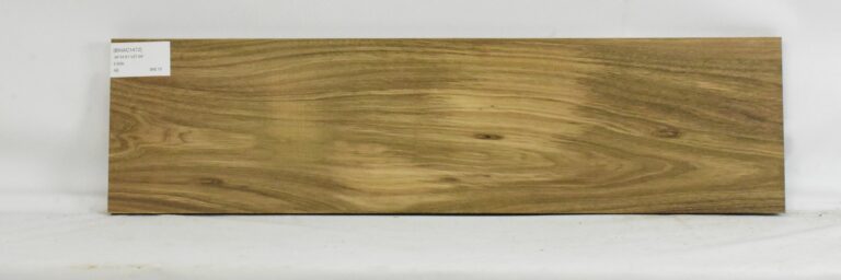 Blackwood - Acacia 9 BWAC1472_1