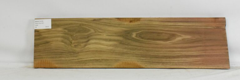 Blackwood - Acacia 8 BWAC1473_1