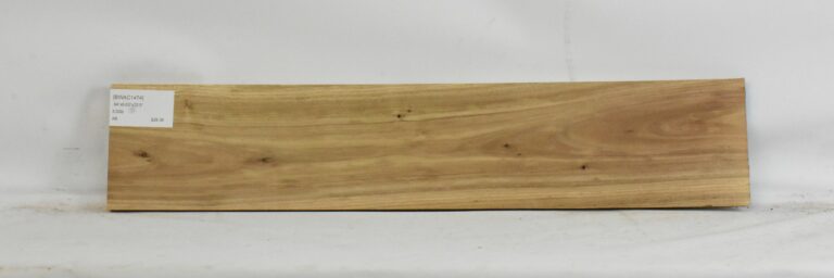 Blackwood - Acacia 7 BWAC1474_1