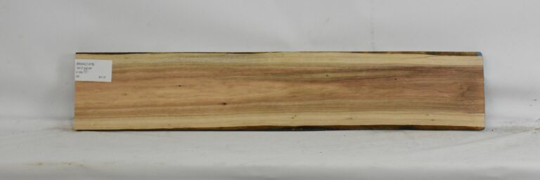 Blackwood - Acacia 5 BWAC1476_1