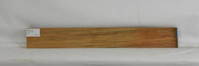 Blackwood - Acacia 4 BWAC1477_1