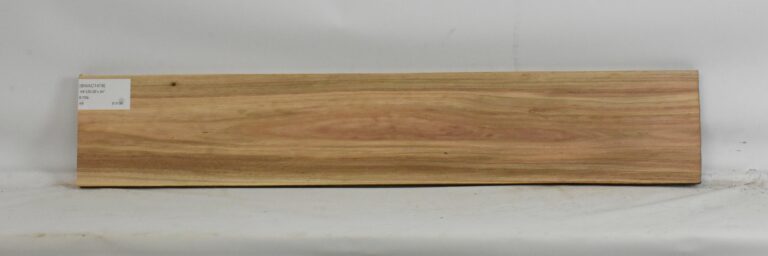 Blackwood - Acacia 3 BWAC1478_1