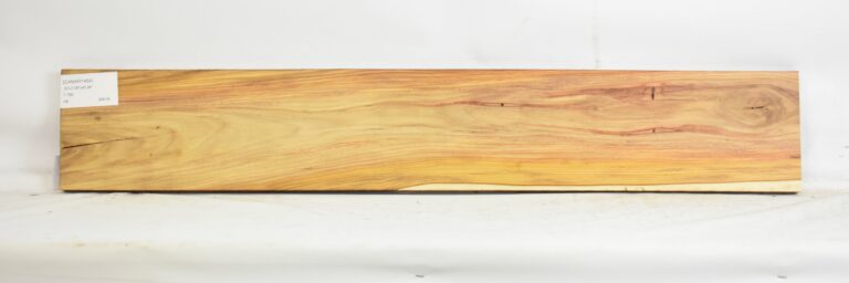 CANAR1454_1