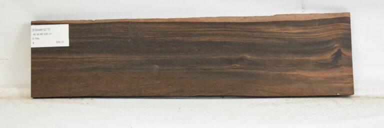 Ebony - Amara 9 EBAM1277_1