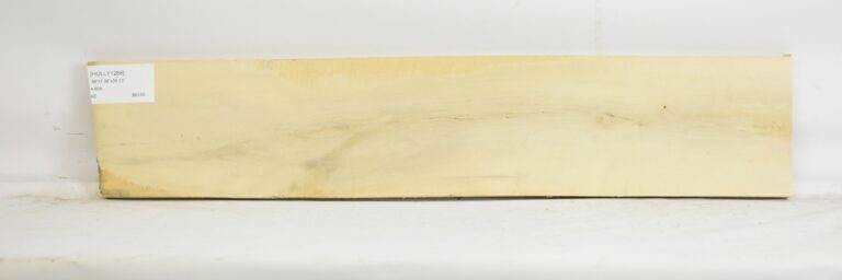 HOLLY1268_1