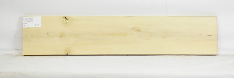 HOLLY1269_1